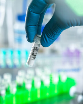 Gloved hand holding a vial in a laboratory setting with colorful test tubes in background.