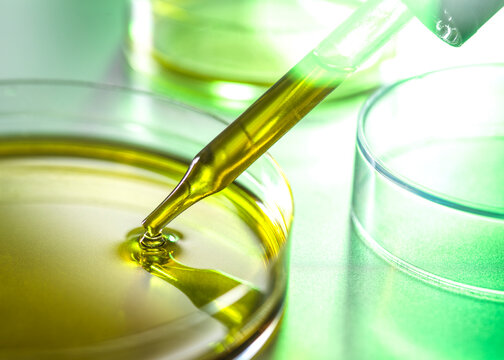 Pipette adding liquid to petri dish, close-up in laboratory setting with green tones.  