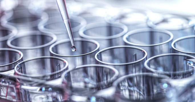 Close-up of a pipette dropping liquid into rows of transparent test tubes.