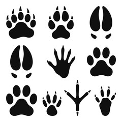 Fototapeta premium A collection of black animal paw prints on a white background