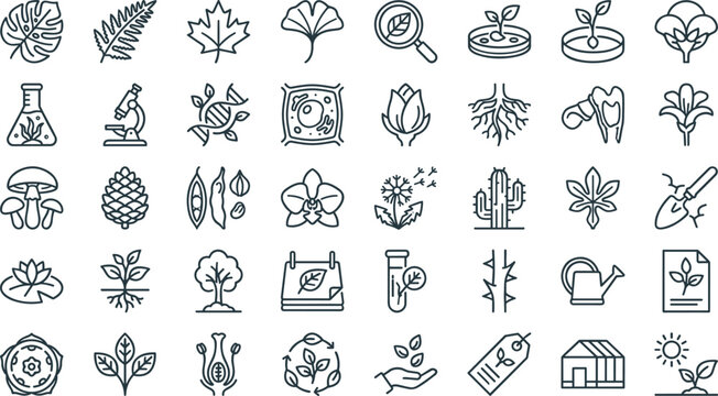 Botanical Science and Plant Research Icon Collection with Leaf Anatomy, Growth Cycle, Laboratory Testing, Gardening Tools and Ecology Outline Vector Set
