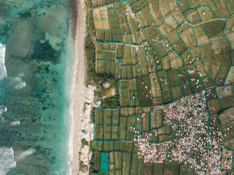 Aerial view of coastal farmland and a small village near turquoise ocean waves.   Ly Son island, Vietnam