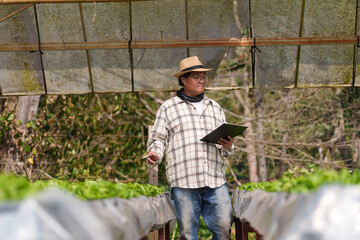 Obraz premium An organic vegetable farm owner checks his vegetables for sale to a global business.