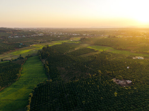 Aerial view of farmland at sunset with vibrant green fields and distant village.