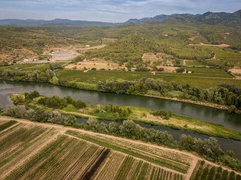 Aerial view of lush green fields and a meandering river under a clear blue sky.