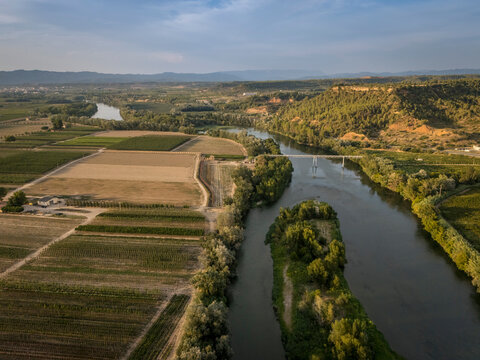 Aerial view of expansive vineyards bordering a tranquil, winding river under a bright blue sky.