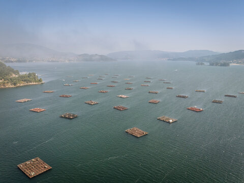Aerial view of numerous fish farms arranged in a large, calm body of water under a clear sky.