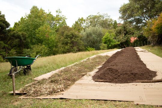 A garden bed with mulch and soil on cardboard, set in a lush green outdoor area. Auckland, New Zealand