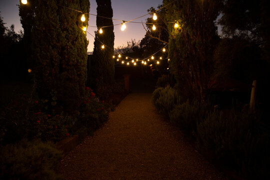 Outdoor garden path lit by string lights at dusk surrounded by trees and bushes Waiheke Island, New Zealand