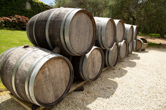 Wooden barrels stacked on gravel in a sunny garden with lush greenery. Waiheke Island, New Zealand