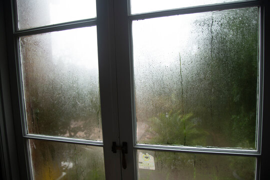 A window with condensation obscures a view of greenery outside in a rainy scene.
