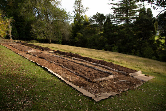 Garden beds set up with logs and soil on a grassy hillside surrounded by trees.