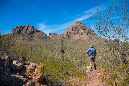 A person stands on a rocky outcrop gazing at desert mountains under a bright blue sky. Tucson, Arizona, USA