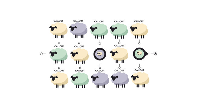 Sheep genetics pedigree chart illustration.