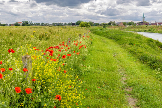 Long distance hiking trail along floodplain meadows of the river Meuse in Limburg; on the horizon the St Catharina church tower of Maaseik  (Belgium) with dramatic sky