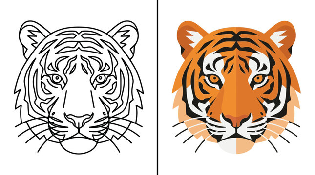 Frontal tiger head portrait in line art and color.