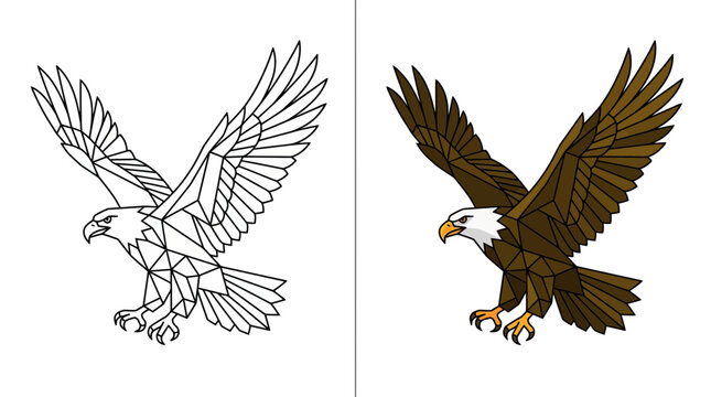 Geometric bald eagle outline and colored vector set.