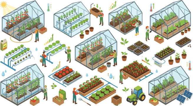 Isometric greenhouse agriculture set with farmers growing organic vegetables plants hydroponics smart farming elements illustration vector