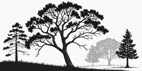 Obraz premium Silhouette illustration of diverse forest trees on grassy landscape with silhouette landscape outdoors wilderness illustration background