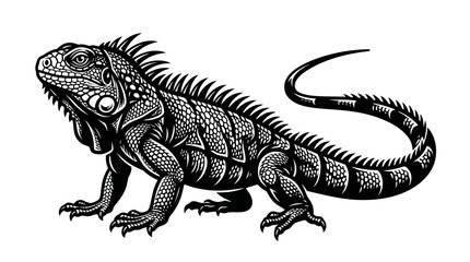 Fototapeta premium Vintage Engraving Style Illustration of a Green Iguana Lizard
