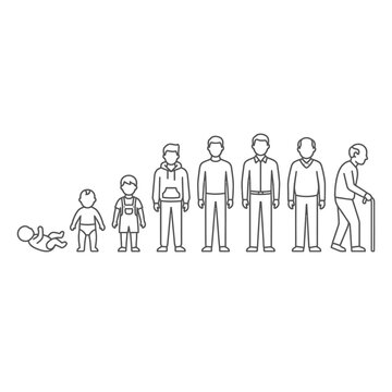 A line drawing showing the human life cycle stages in order