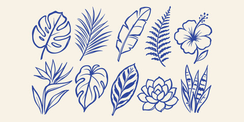 Obraz premium tropical leaves and exotic botanical plant doodle icon set with monstera palm banana leaf fern and succulent vector illustration