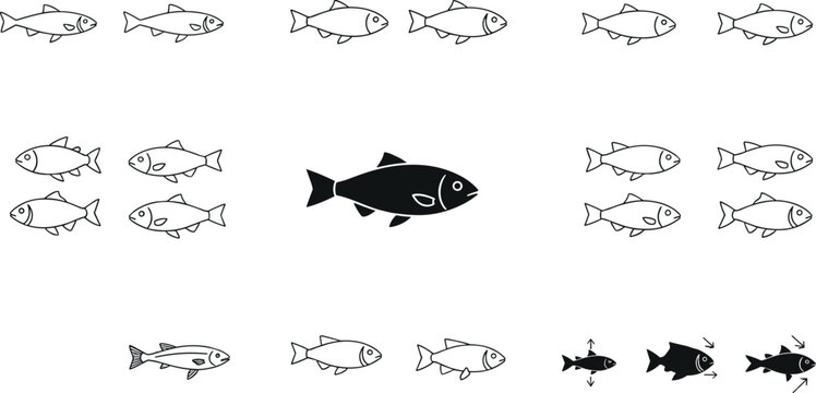 Fish School Comparison and Identification Line Icon Vector Set for Marine Biology Textbooks Fishing Infographics and Seafood Packaging Designs