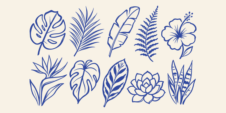 tropical leaves and exotic botanical plant doodle icon set with monstera palm banana leaf fern and succulent vector illustration