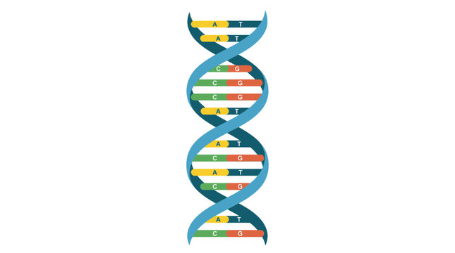 A colorful DNA double helix model on a white background with a scientific and educational mood.