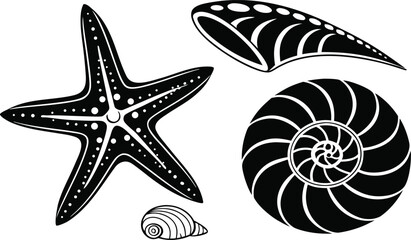 Black silhouette illustrations of a starfish nautilus shells and a small snail shell black and white © Riazhasan444