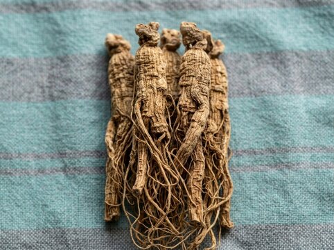 Ginseng root bundle resting on textured fabric with sharp focus and natural lighting for traditional medicine marketing