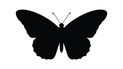 Black butterfly silhouette against a white background silhouette © Hiron