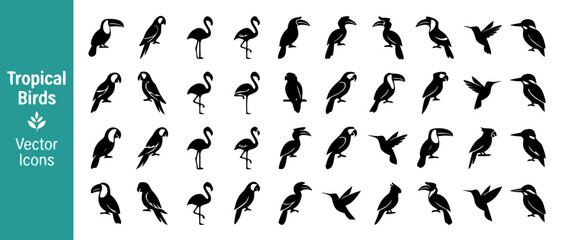 Obraz premium Comprehensive Collection of Thirty-Two Tropical Bird Silhouettes in a Modern Flat Vector Design Style Perfect for Infographic Projects Featuring Diverse Exotic Avian Species from Global Jungles