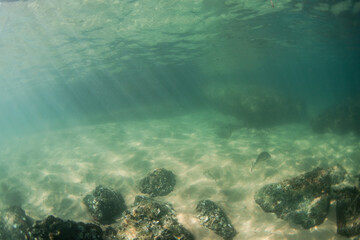 Fototapeta premium Ocean floor view with sand and rock.
