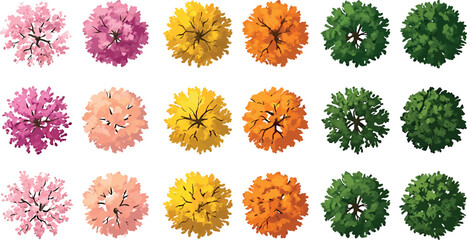 Fototapeta premium Set of top view trees for architectural landscape design, plan view of various deciduous trees and flowering plants isolated on white background