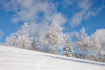 Obraz premium paysage hivernal des Vosges