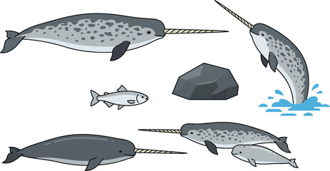 Narwhal Arctic Vector Illustration Featuring Multiple Whales with Spiral Tusks, Leaping Pose, Swimming Group, Rock, and Fish © Abdur
