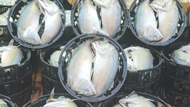 Mackerel in a Black Basket Sold at the Market
