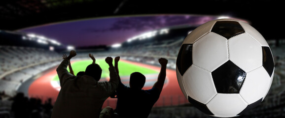 silhouete of football supporters cheering in stadium © Melinda Nagy