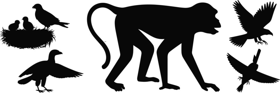 Collection of wildlife silhouettes featuring a large monkey and various birds including a nest isolated on white background