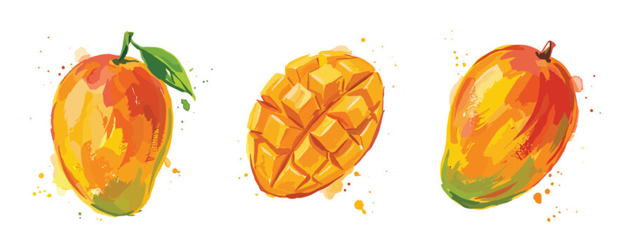 Ripe mangoes and mango slice illustration with watercolor splash effect on transparent background.