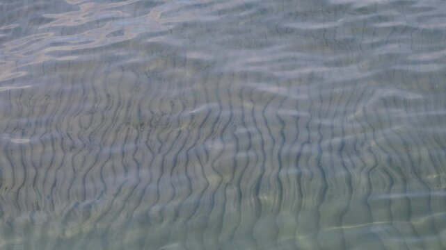 lear water flowing over a sandy seabed with visible ripple patterns.