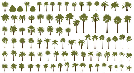 Fototapeta premium Extensive collection of palm tree silhouettes in various shapes and sizes ideal for tropical landscape design elements.