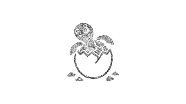 Sketch turtle hatchling icon animation - smooth progressive reveal