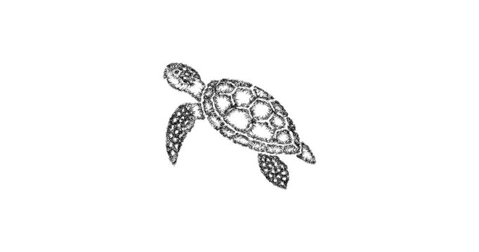 Sketch green sea turtle icon animation - smooth progressive reveal
