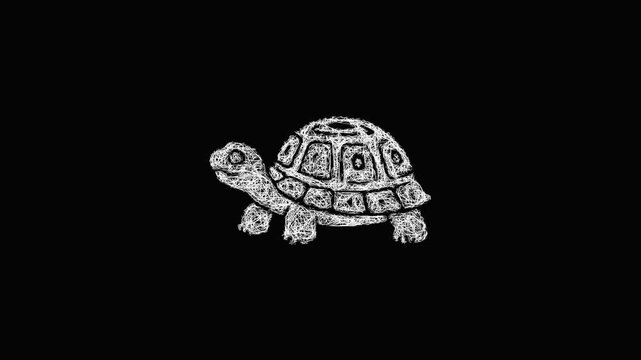 Sketch box turtle icon animation - smooth progressive reveal