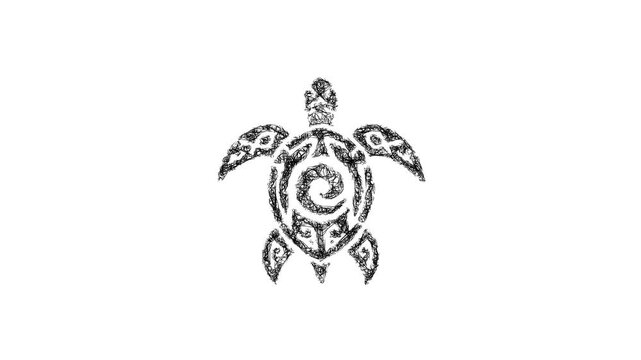Sketch tribal turtle icon animation - smooth progressive reveal