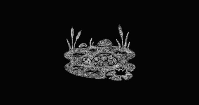 Sketch turtle pond icon animation - smooth progressive reveal