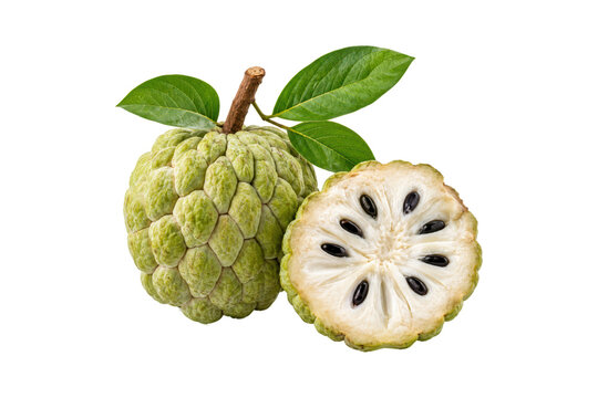 Sugar apple fruit isolated on white background, whole fresh custard apple with a sliced half revealing creamy white flesh and glossy black seeds, green segmented skin texture, natural stem with fresh 