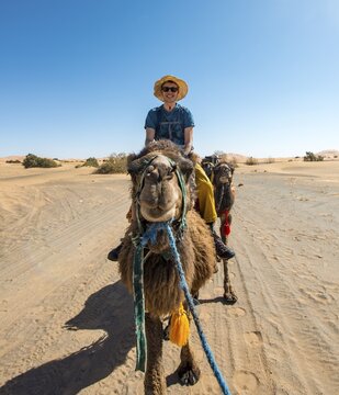 Young man riding on a camel, caravan with Dromedary (Camelus dromedarius), desert, Erg Chebbi, Merzouga, Sahara, Morocco